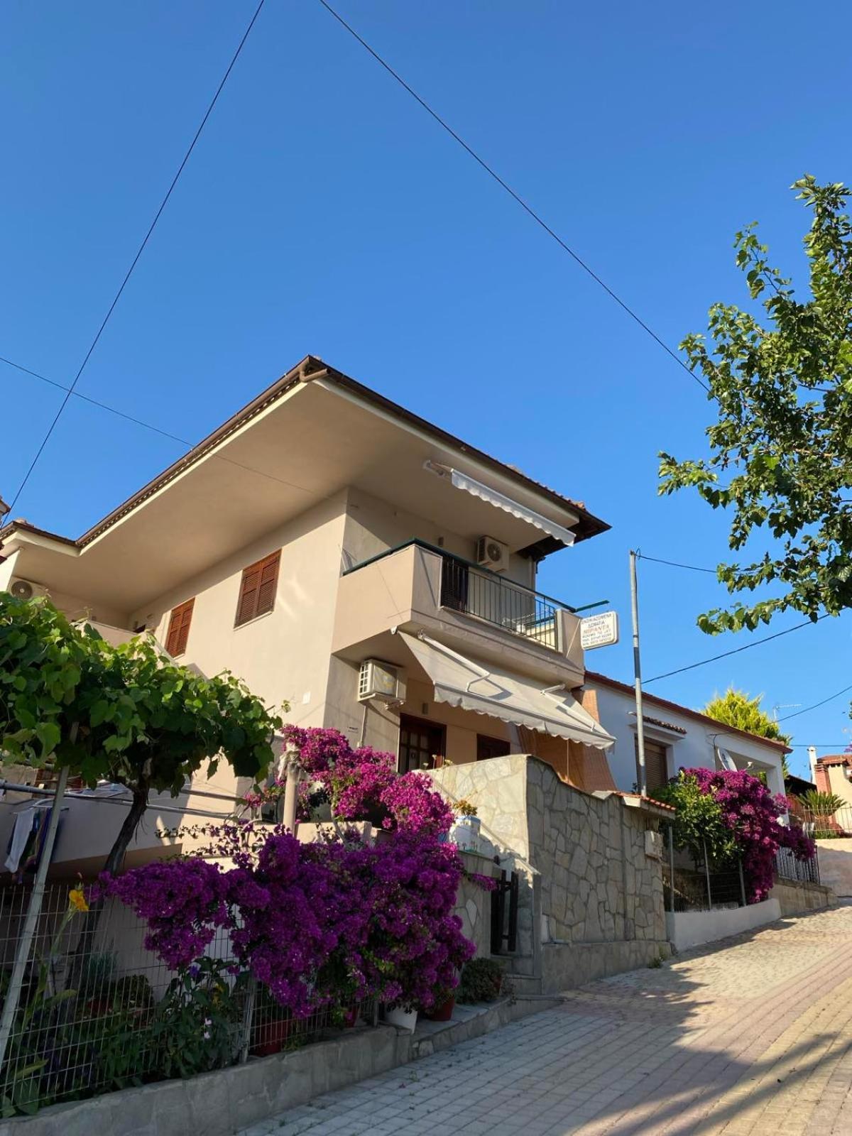Miranda Studios Paliouri Exterior photo